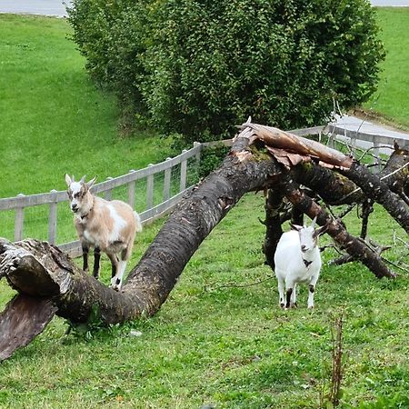 Apartament Gut Mitterlehen Elsbethen Zewnętrze zdjęcie